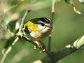 01 01 00_2812_edited-1